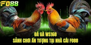 Đá Gà WS168 - Sảnh Chơi Ấn Tượng Tại Nhà Cái FO88